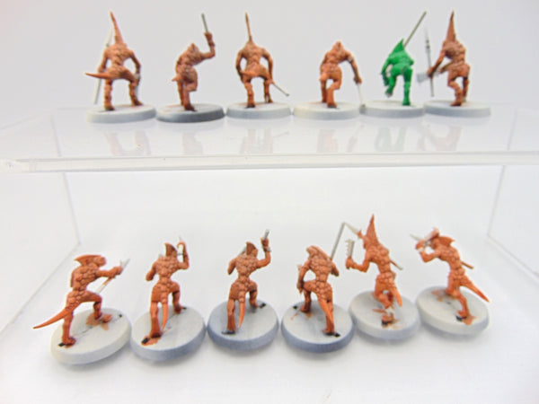Skinks