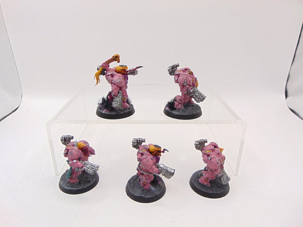 Einhyr Hearthguard