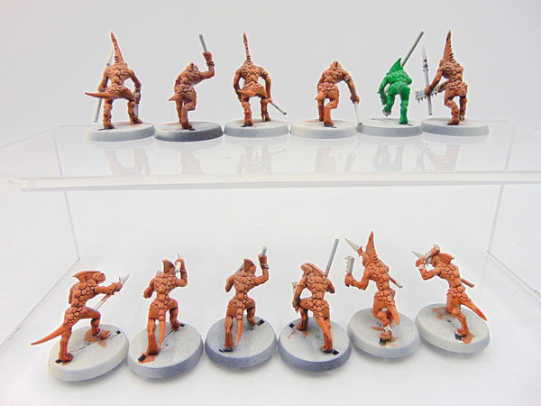 Skinks