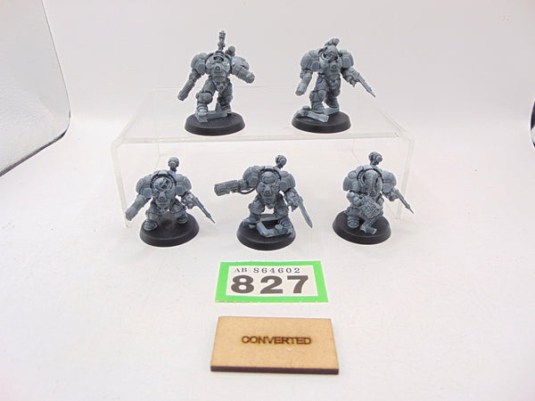 Einhyr Hearthguard