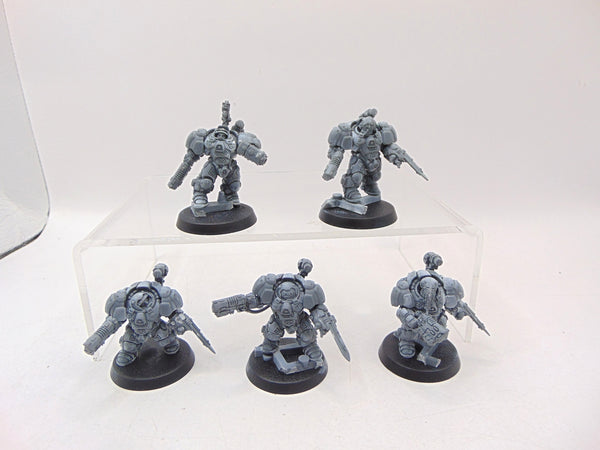 Einhyr Hearthguard