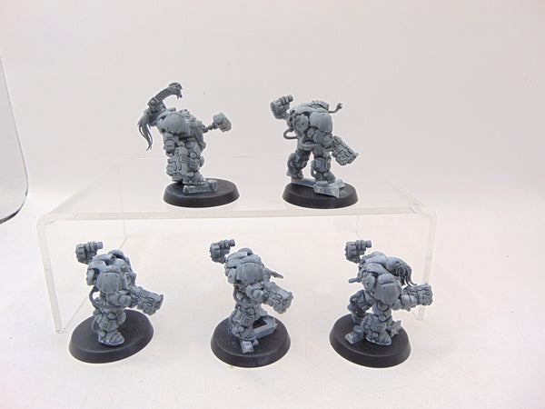 Einhyr Hearthguard