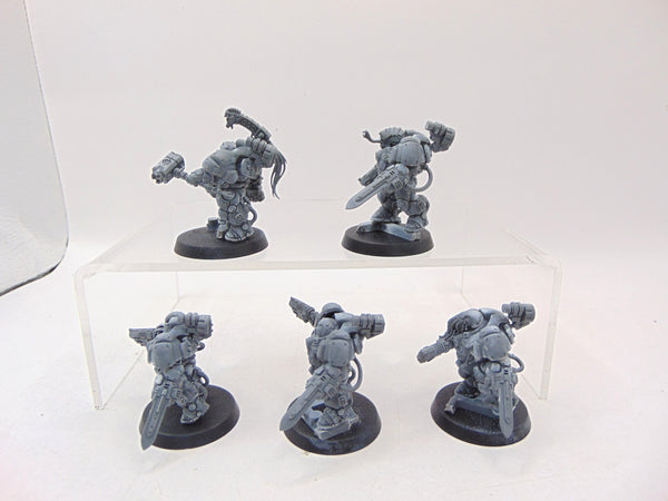 Einhyr Hearthguard