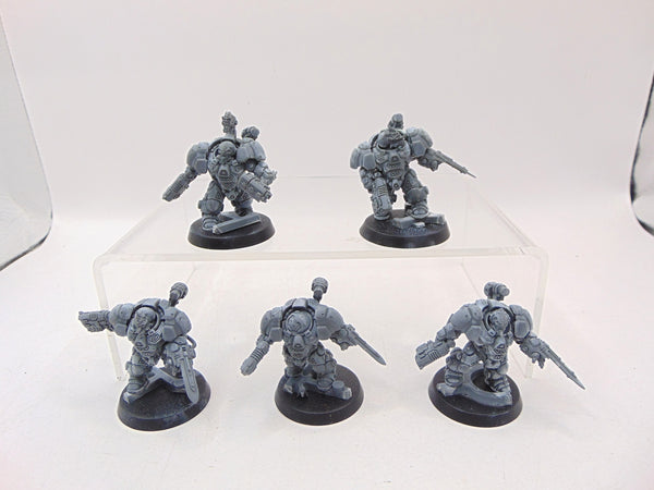 Einhyr Hearthguard