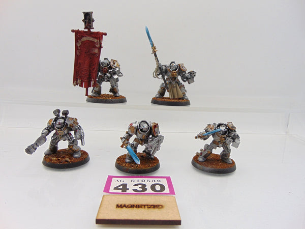 Brotherhood Terminator Squad