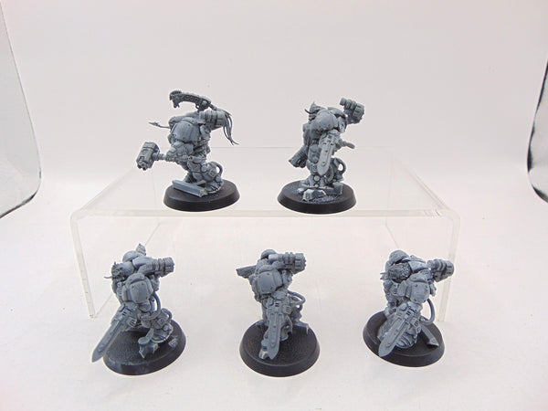 Einhyr Hearthguard