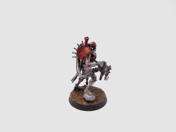 Royal Warden