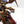Centaurion Marshal