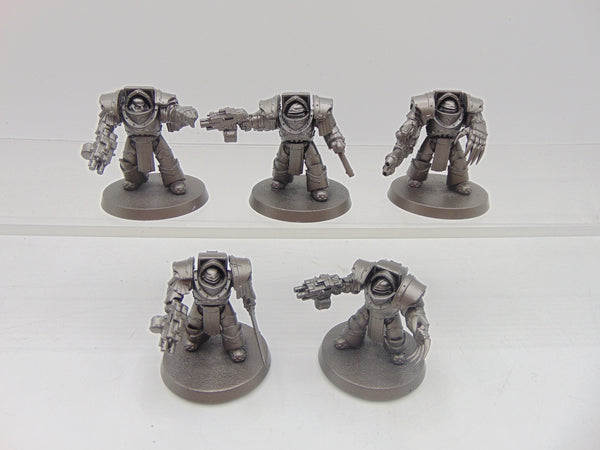 Cataphractii Terminator Squad