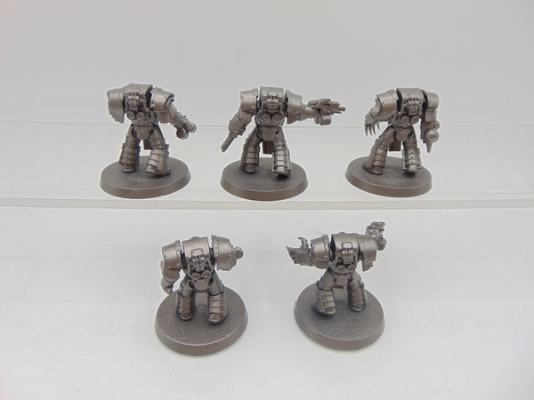 Cataphractii Terminator Squad