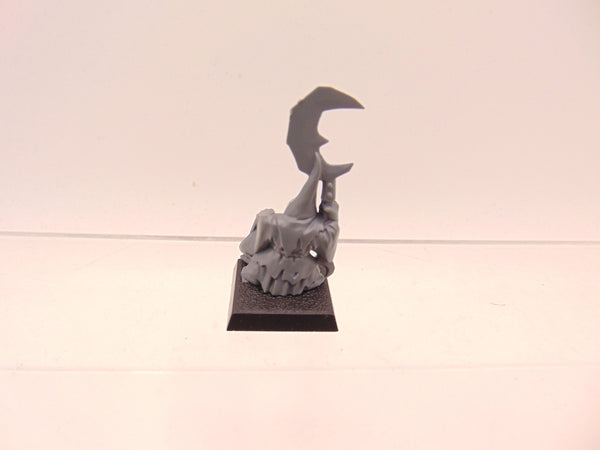 Night Goblin Big Boss with Squig