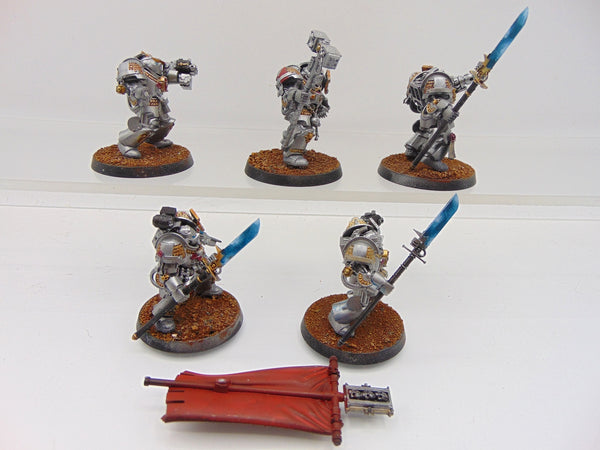 Brotherhood Terminator Squad