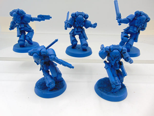 Assault Intercessors