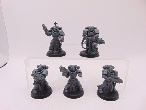 Sternguard Veterans