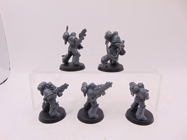Sternguard Veterans