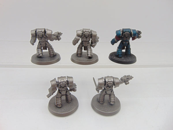 Cataphractii Terminator Squad