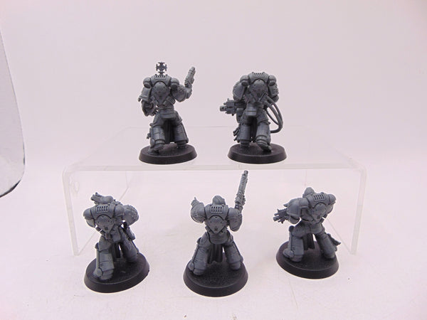 Sternguard Veterans