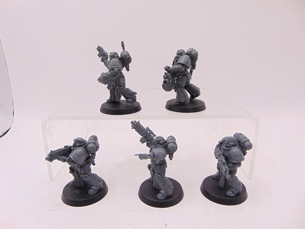 Sternguard Veterans
