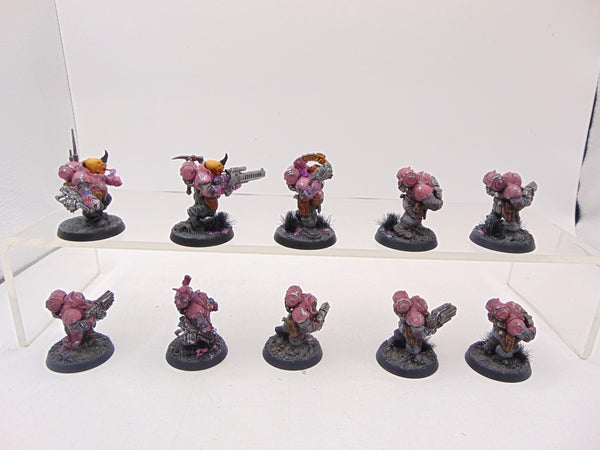 Hearthkyn Warriors
