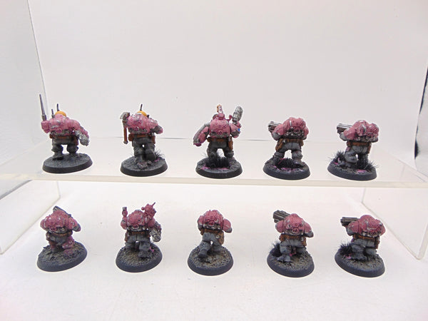 Hearthkyn Warriors