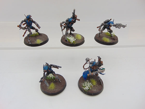 Sicarian Infiltrators