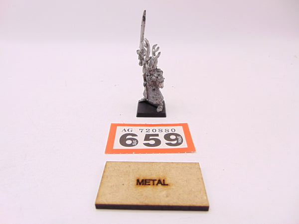 High Elf Hero with Sword