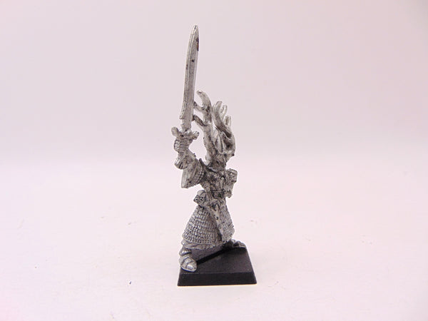 High Elf Hero with Sword