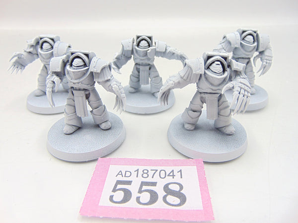 Cataphractii Terminator Squad
