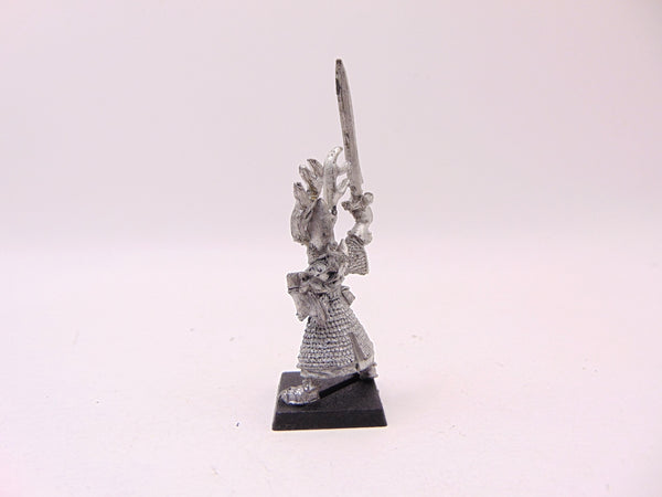 High Elf Hero with Sword