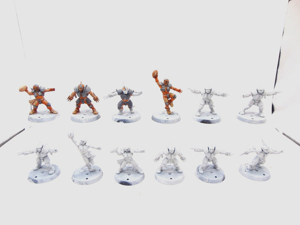 Human Team: Reikland Reavers