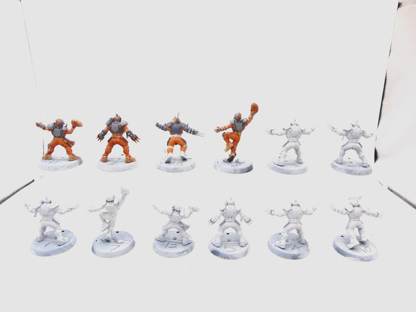 Human Team: Reikland Reavers