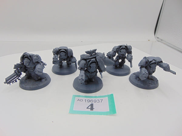 Wolf Guard Terminators