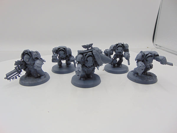 Wolf Guard Terminators