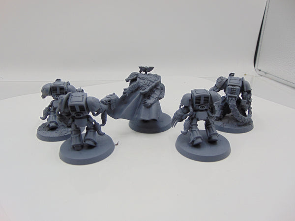 Wolf Guard Terminators