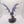 Fulgrim Transfigured