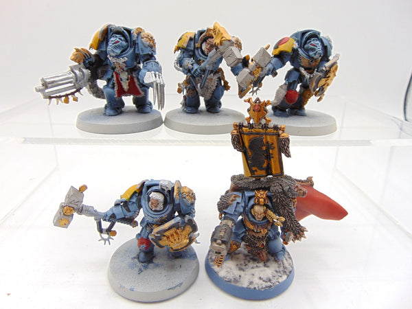 Wolf Guard Terminators