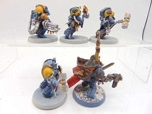 Wolf Guard Terminators