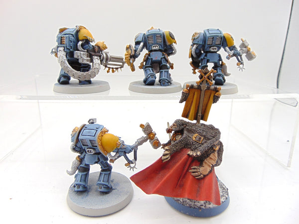 Wolf Guard Terminators