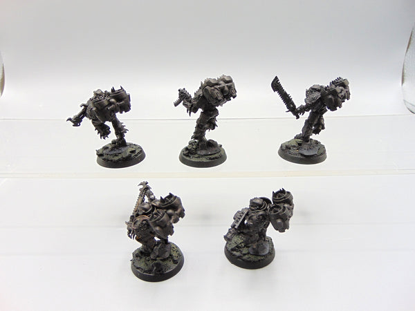 Raptors
