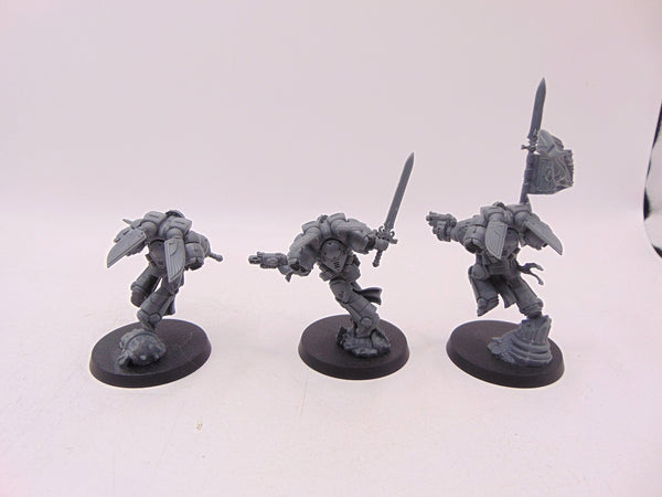 Sanguinary Guard