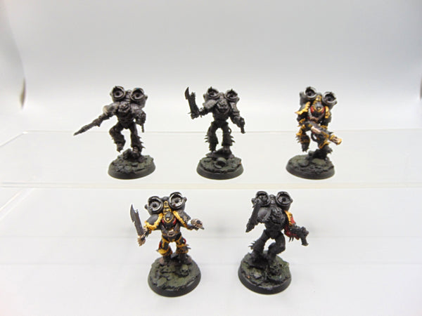 Raptors