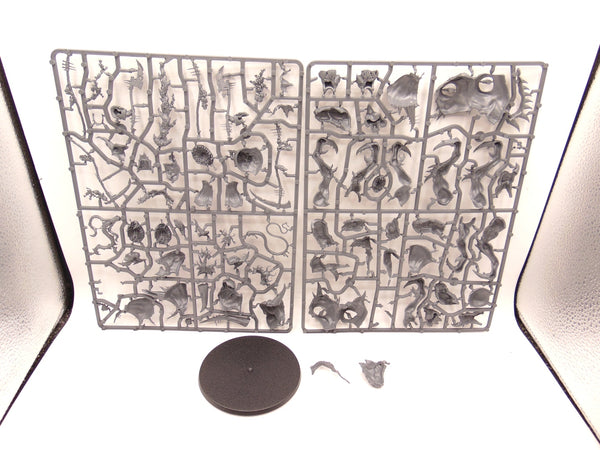 Morbidex Twiceborn / Bloab Rotspawned