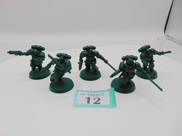 Assault Intercessors