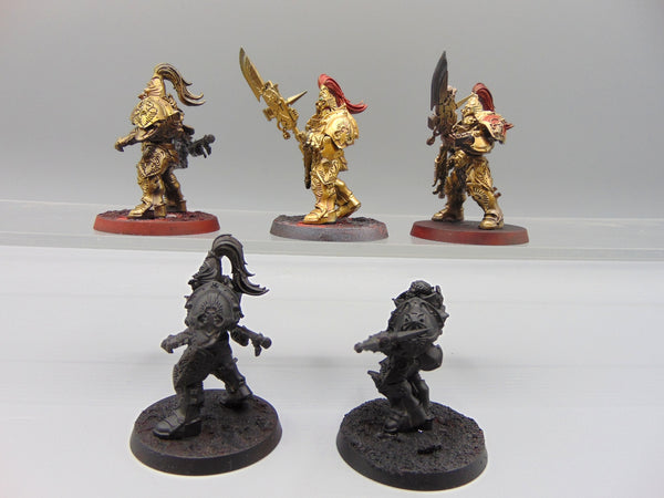 Custodian Guard