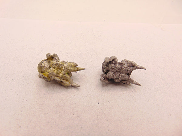Forest Goblin Spiders