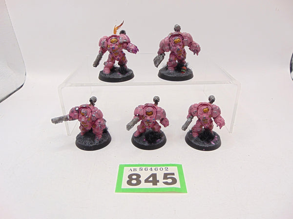 Einhyr Hearthguard