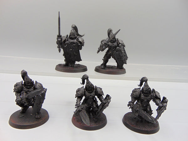 Custodian Guard