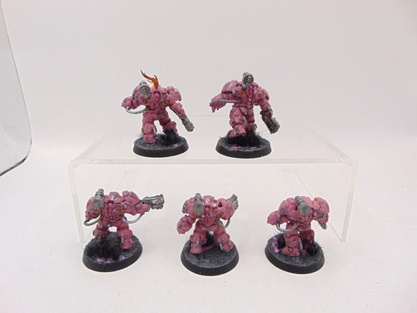 Einhyr Hearthguard