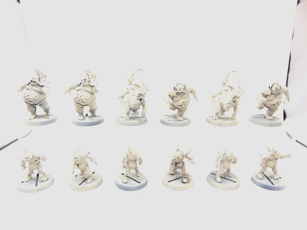 Nurgle’s Rotters - Nurgle Blood Bowl Team