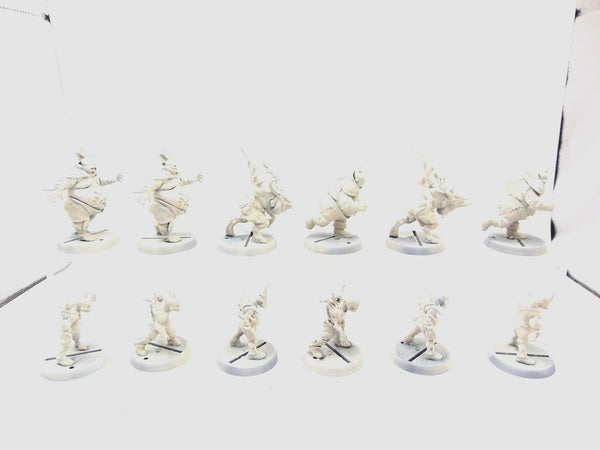 Nurgle’s Rotters - Nurgle Blood Bowl Team